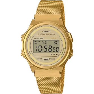 CASIO VINTAGE Mod. ROUND - GOLD MESH