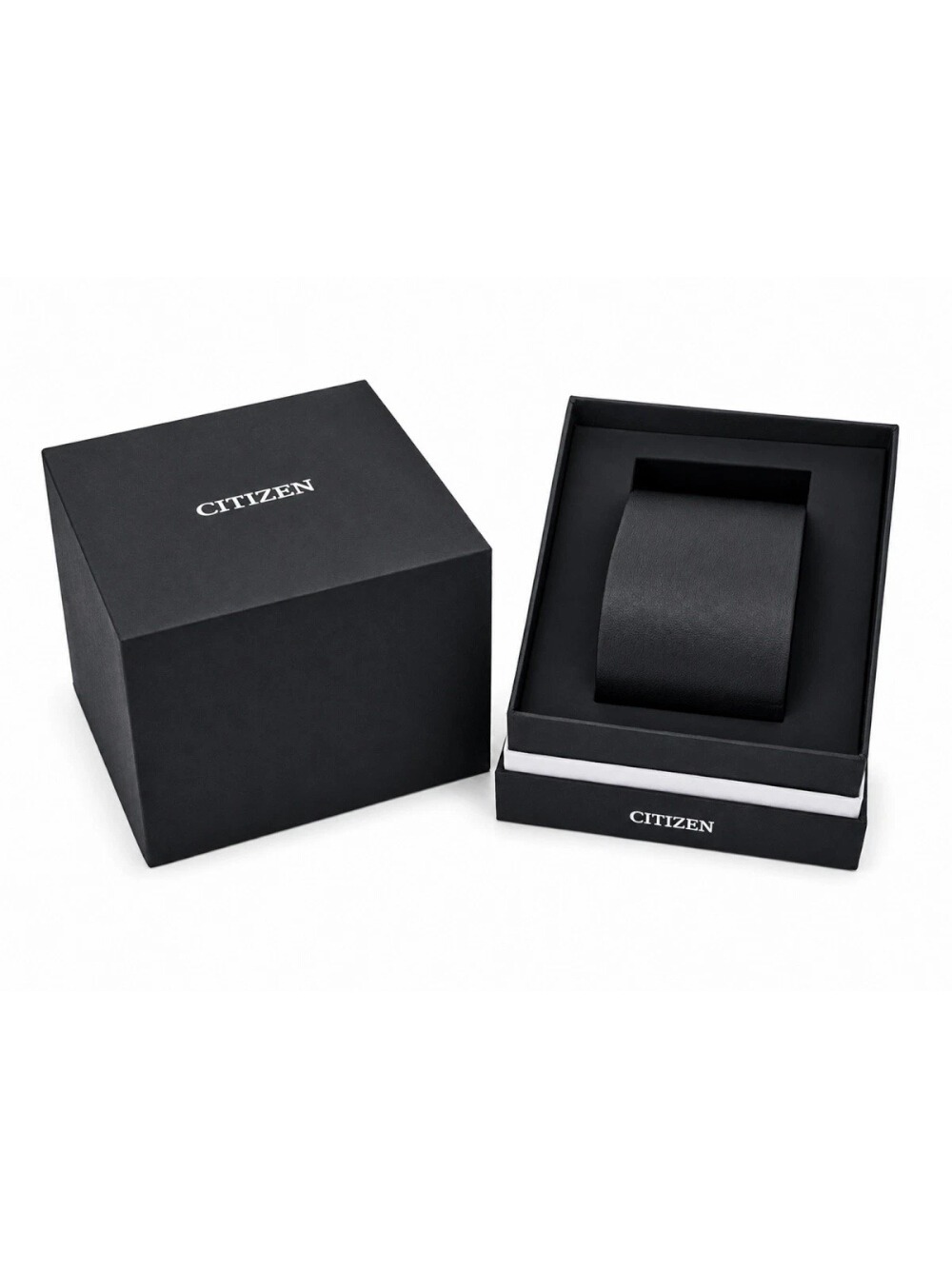 CITIZEN MOD. AW1900-50X