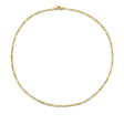 CO88 COLLECTION Mod. 8CN-26406