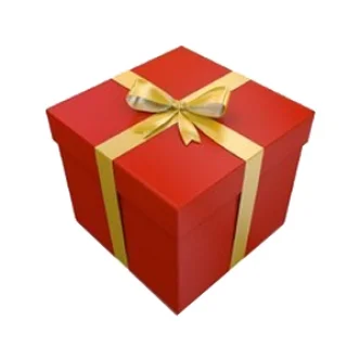 GIFT WRAPPING / CONFEZIONE REGALO / PAQUET CADEAUX / PAQUETE REGALO