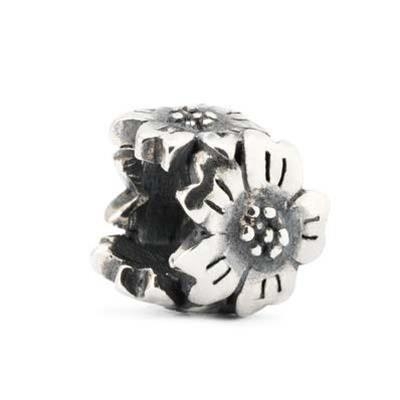 CO88 COLLECTION Mod. 8CE-70084